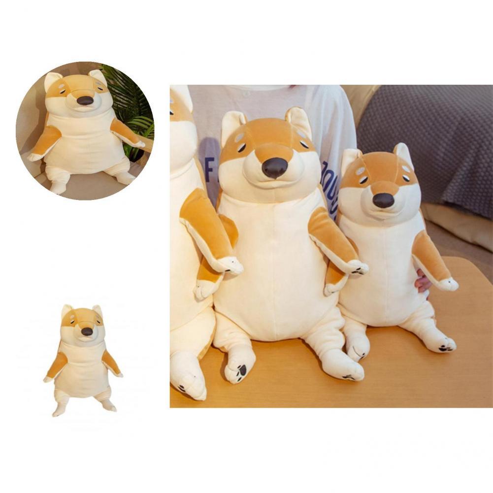 Shiba Inu  峭  ź ̸ ſ ε巯 Shiba Inu   Shiba Inu  